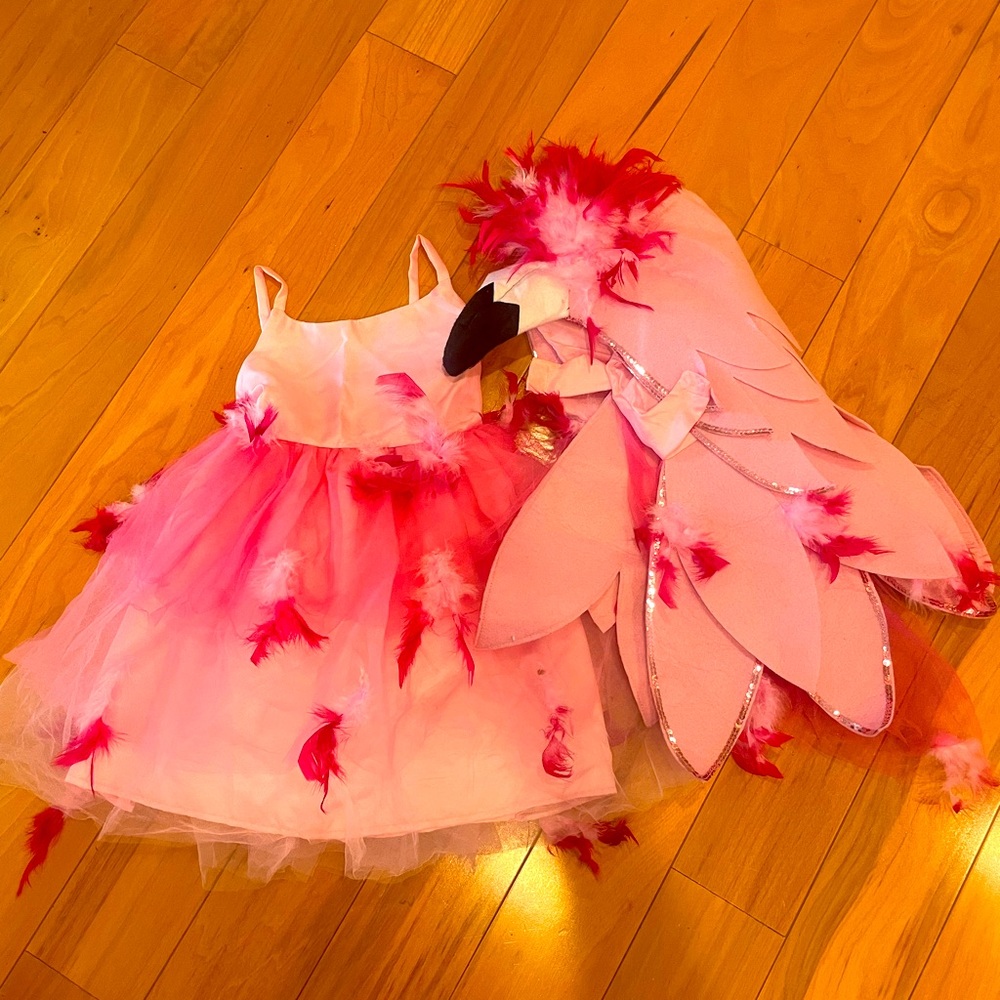 Pottery Barn Kids Flamingo costume